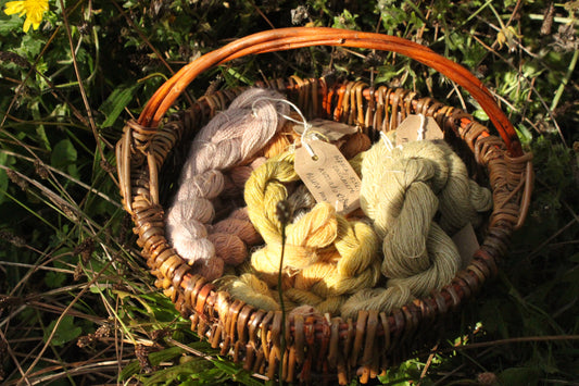 The Art of Medicinal Dyeing